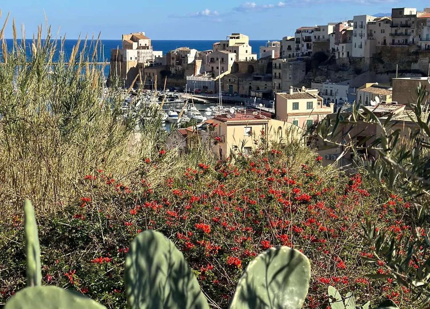 Casetta Del Salice Castellammare del Golfo 0*,